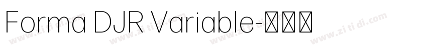 Forma DJR Variable字体转换